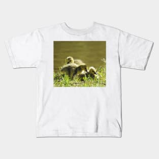 Baby goslings, Canadian Geese, wildlife gifts Kids T-Shirt